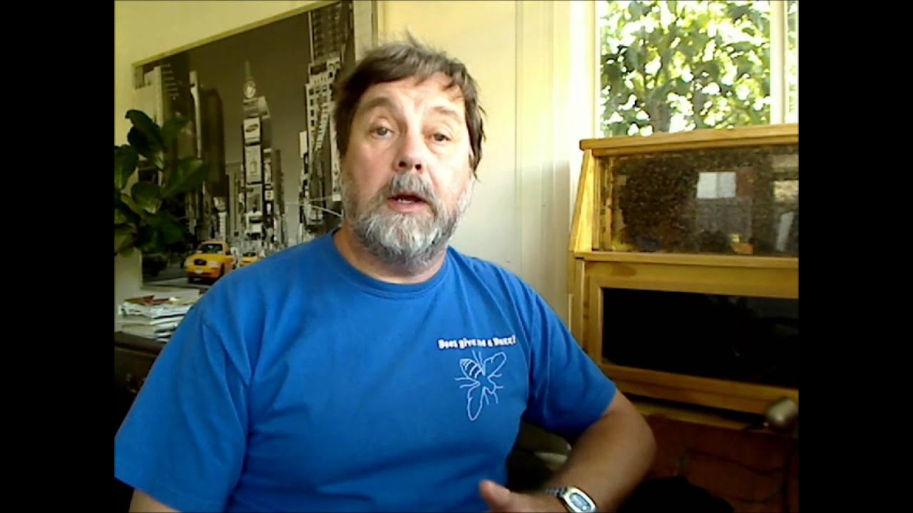 Beekeeping Questions Answers Youtube
