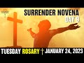 SURRENDER Novena Day 9 ✨ ROSARY TUESDAY ✨ January 24th Sorrowful Mysteries Holy Rosary