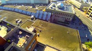 Green Roof Project at Gummer Building Guelph Demo