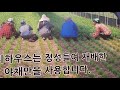 장병윤 선생님이 직영하는 산청군 동의보감촌에 오리하우스에 왔습니다 정말 대단하신 분이네요 배울게 많은분 입니다