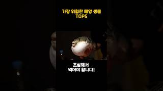 가장 위험한 해양 생물 TOP5