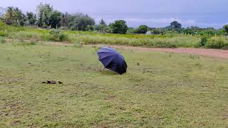 One fine monsoon Evening