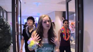 Lipdub: Jan Tinbergen College - Havo examenstunt 2013