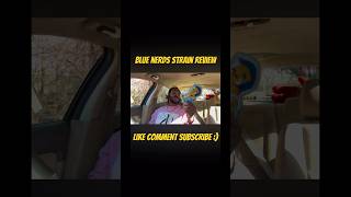 Blue Nerds Strain Review 🔥🥵 #short #shorts #shortvideo #shortsvideo