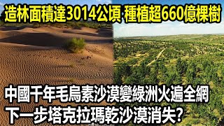 造林面積達3014公頃，種植超660億棵樹，中國千年毛烏素沙漠變綠洲火遍全網，下一步塔克拉瑪乾沙漠消失？