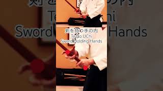 WOW!合氣 | 受の腕が剣 : UKe’s Arm as Sword | 四教落とし YonkyoOtoshi #合氣道 #aikido #武道 #budo #martialarts