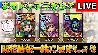 【DQタクト】DQ2キャラの開花情報一緒に見ましょうー！【#ドラクエタクト/#DQTact/#ドラゴンクエストタクト】