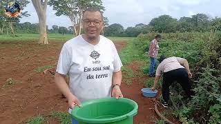 Bispo Edimilson Vaz  e Pastora Márcia Vaz colhendo Tomates .