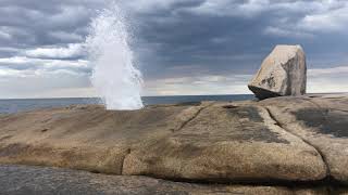 Bicheno Blowhole, Tasmania, Australia