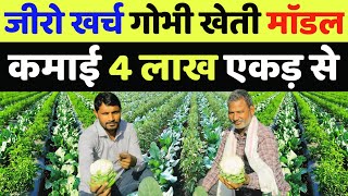 फूलगोभी की खेती कब करें | gobhi ki kheti kaise karen | phool gobhi ki kheti kab ki jaati hai