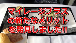 マイレージプラスの新たなメリットを発見しました！【ANAお得なマイル術、有村歩侑（ポウ）】