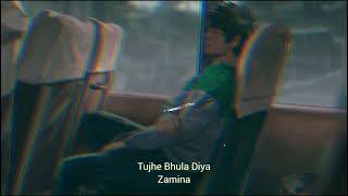 Tujhe Bhula Diya ( Slowed + Reverb) | Zamina