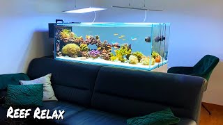 REEF RELAX - coral aquarium - chillout music *Reef Tank*