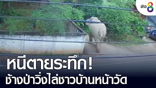 หนีตายระทึก! ช้างป่าวิ่งไล่ชาวบ้านหน้าวัด | คุยข่าวเช้าช่อง8 | 27 ส.ค. 65