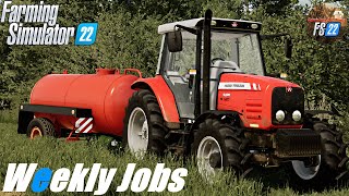 2022. július 1. I Weekly jobs