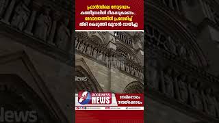 ഫ്രാൻസിലെ നോട്രഡാം കത്തീഡ്രലിൽ ഭീകരാക്രമണം | NOTRE DAME | CHURCH |  CATHOLIC | FRANCE |GOODNESS TV