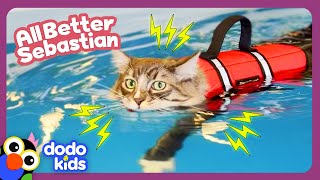 ⚡ ZAP! Can Electricity And Water Heal This Kitten’s Injured Leg? | Dodo Kids | All Better