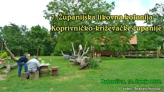 7.  Županijska likovna kolonija - Bakovčica 2016. HD