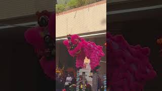 香港星河明居2023年農曆新年的舞獅及舞龍表演Lion Dance and Dragon Dance of 2023 Lunar New Year in Hong Kong