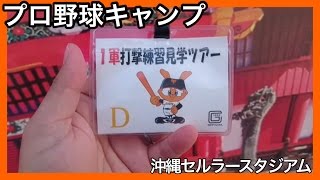 【プロ野球】沖縄キャンプ 読売巨人 一軍打撃練習見学ツアーに参加しました