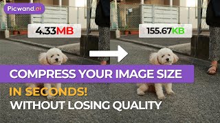 Compress Your Image Size in Seconds Without Losing Quality