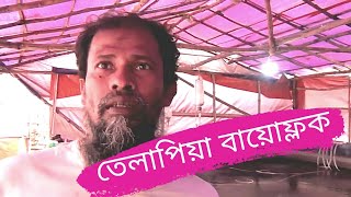 কম পানিতে বেশি লাভের বায়োফ্লক তেলাপিয়া এবং বিগ শৈল মহাদেবপুর নওগাঁ fish mohadebpur tanvirbangla