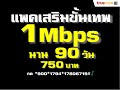 โปรเน็ตทรู แพ็กเกจขั้นเทพมาราธอน 1 2 4mbps 3 6 12เดือน กลับมาใหม่อีกครั้ง ถึง 30 มิย. termtrue