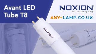 Noxion Avant LED tube T8 | Any-lamp.co.uk