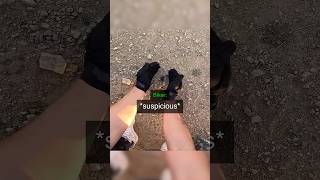 Biker Saved Beetle !😱