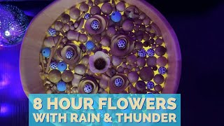 8 Hour Rain, Thunder & Wood Soup ASMR for Insomnia Relief