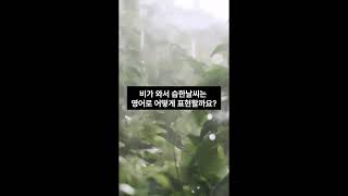 비가 많이와서 습해진 날씨에 쓰는 영어표현? #shorts