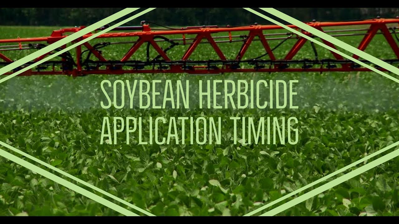 Soybean Herbicide Application Timing - YouTube