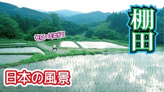 日本の良いトコNo.01　棚田　rice terraces field　セロ・ミエドもあるよ