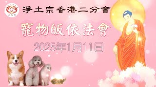 寵物皈依  一切生命皆平等 | 粤語 | 最後有彩蛋