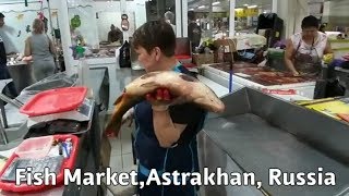 Астрахань.Скольк стоит рыба на рыбном рынке и Супермаркете/Fish prices in Bazaar and super Market