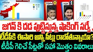 జగన్ కి దడ పుట్టిస్తున్న షాకింగ్ సర్వే,టీడీపీకి ఈసారి అన్ని సీట్లు రాబోతున్నాయా?Ap election Survey |