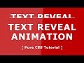 Css3 Text Reveal Animation - Pure CSS Tutorials