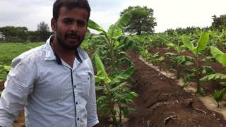 ಇಸ್ರೇಲ್ ಮಾದರಿ ಕೃಷಿ Agriculture - MBA graduate turned to Farmer,