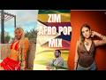 ZIM AFRO POP MIX | BEST OF 2026 | TAKURA, ANETA CHINX, TOCKY, ENZO, FREEMAN, NOX, NUTTY 0, DENZEL