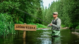 Skarby Małej Leśnej Rzeki!  Wielkie Zaskoczenie Na PZW!