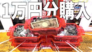 【激おこ】たすくのお小遣いでメダル1万円分購入しましたwww【メダルゲーム】