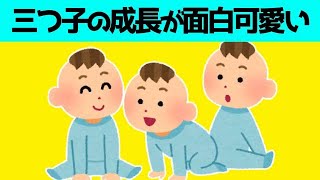 【2chほのぼの】三つ子で生まれてきた子供たちの成長が面白可愛いwww