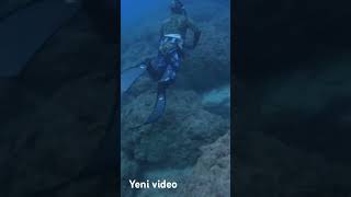 12 ocak pazar günü antalya kemer balık avı. #fishing #diving  #underwater #spearfishing #freediving