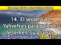 salmo 25 de la biblia catÓlica oraciÓn para pedir direcciÓn perdÓn y protecciÓn