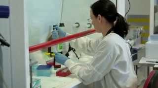 Big W supports heart research Murdoch Children's Research Institute