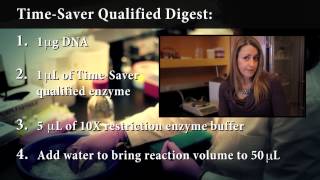 Time-Saver Protocol for Restriction Enzyme Digests
