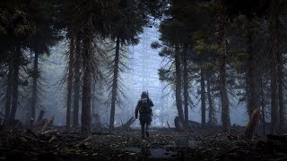 🔴DayZ/STALKER PVE/RP #1  Выживание на ЗАПРЕТНОЙ ЗОНЕ! (+ РОЗЫГРЫШИ) Играй БЕСПЛАТНО