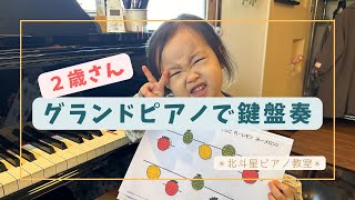 【２歳ピアノレッスン】グランドピアノで鍵盤奏/ピアノ大好き/鍵盤導入/導入指導