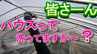 ハウスの中を洗っちゃいます！