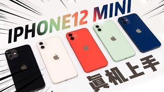 【首发】真机上手所有颜色 iPhone 12 mini/对比iPhone5 iPhoneSE2/选12还是选mini？